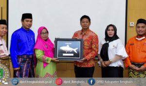 66219143569-pelalawan