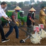Presiden Jokowi Berharap Kebutuhan Jagung Nasional Dapat Tercukupi