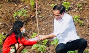 Hari Ini, Presiden Jokowi Tanam Pohon Bersama Masyarakat