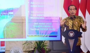 Presiden Jokowi: Potensi Besar Indonesia pada Ekonomi Hijau dan Digital