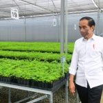 Tinjau Persemaian Rumpin, Presiden Jokowi: Indonesia Serius Tangani Perubahan Iklim