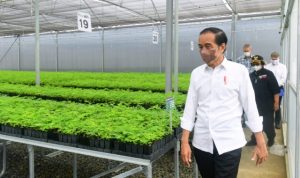 Tinjau Persemaian Rumpin, Presiden Jokowi: Indonesia Serius Tangani Perubahan Iklim