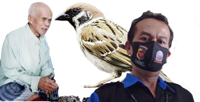 Nasehat Sang Idolaku “Belajarlah dari Burung Pipit,Nak”