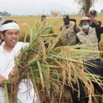 Dedi Mulyadi Menyoroti Pernyataan Anggota Komisi III DPR Arteria Dahlan Soal Bicara Gunakan Bahasa Sunda