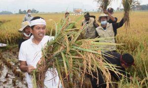 Dedi Mulyadi Menyoroti Pernyataan Anggota Komisi III DPR Arteria Dahlan Soal Bicara Gunakan Bahasa Sunda Dedi Mulyadi Menyoroti Pernyataan Anggota Komisi III DPR Arteria Dahlan Soal Bicara Gunakan Bahasa Sunda