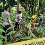 Tim Inafis Polres Tasikmalaya Kota Evakuasi Mayat Pria Tergantung di Pohon dan Membusuk