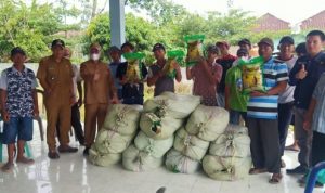 emkab OKI Bantu Benih Padi Lahan Terdampak Banjir di Lempuing Jaya