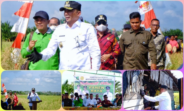 Bupati Meranti Bersama Wakil Bupati Hadiri Acara Panen Raya Gapoktan Tunas Baru Desa Penyagun Kecamatan Rangsang