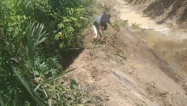 PT.Adei Plantation Industry Kecamatan Pinggir Kabupaten Bengkalis Diduga Tidak Tanggung Jawab Rusak Kebun Masyarakat
