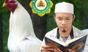 Inilah Khasiat Ayam Jago Berbulu Putih