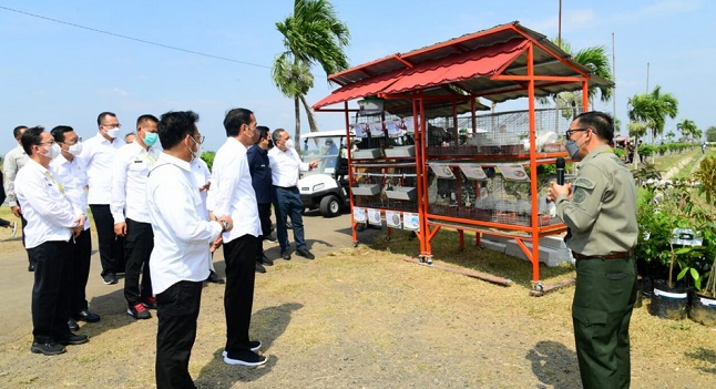 Presiden Jokowi Tinjau Balai Besar Penelitian Tanaman Padi di Subang Untuk Pastikan Ketersediaan Pangan