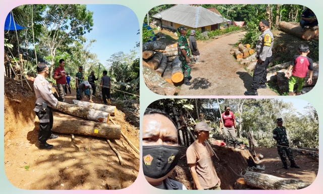 Bhabinkamtibmas Desa Malatisuka Polsek Gunungtanjung Sambangi Tokoh Masyarakat dan Kontrol Penebangan Kayu Mahoni Milik Perhutani