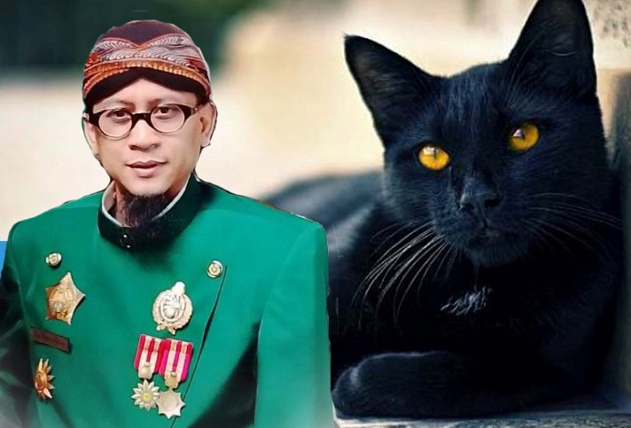 Bagaimana Sebenarnya Mitos Tentang Kucing Hitam …?!