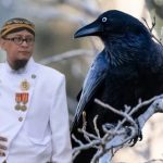 Benarkah Haram Pelihara Burung Gagak