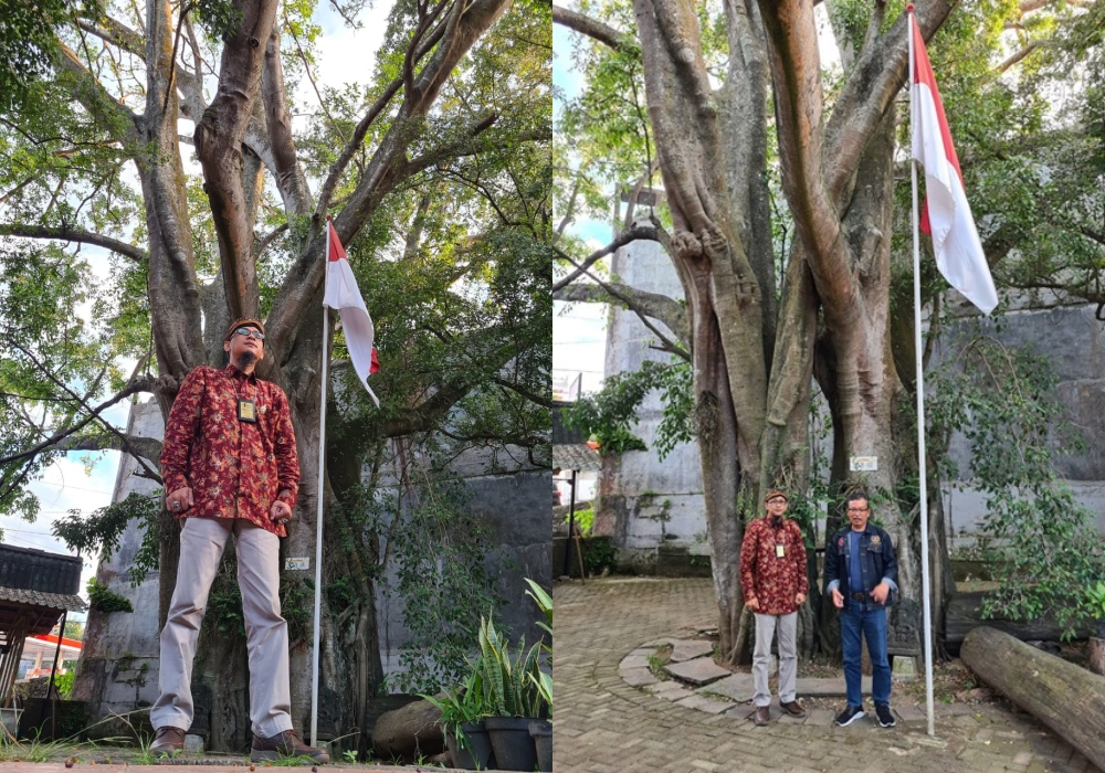 Mitos Pohon Beringin Keramat 300 Tahun di Kota Malang