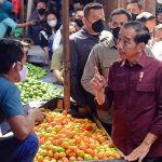 Presiden Jokowi Cek Harga Sembako di Pasar Airmadidi Minahasa Utara