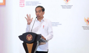 Presiden Jokowi Paparkan Sejumlah Langkah Sukses Pemerintah Tangani Pandemi