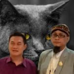 MITOS JAWA : “Kucing Hitam Pembawa Keberuntungan”