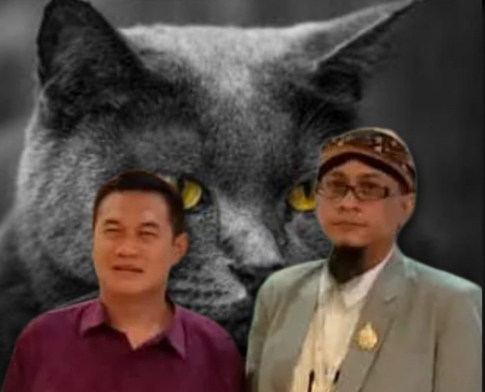 MITOS JAWA : “Kucing Hitam Pembawa Keberuntungan”