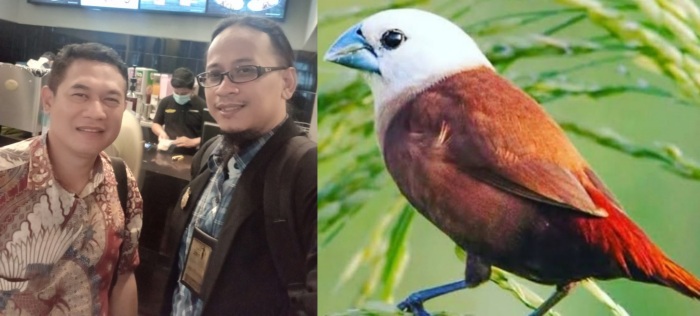 Hadirnya Burung Emprit di Rumah Sebuah Mitos ?