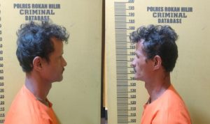 Cabuli Cucu Tiri Usia 4 Tahun, Kakek Bejat Dicomot Polsek Bagan Sinembah di Sebanga- Bengkalis