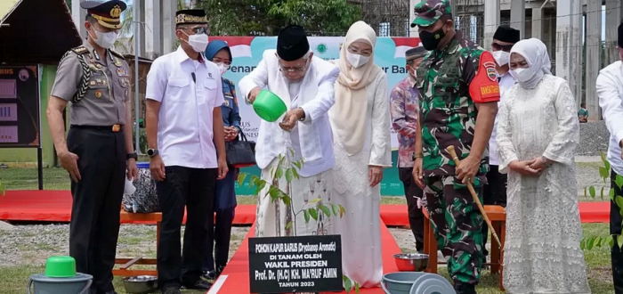 Lestarikan Kekayaan Alam Sumatera, Wapres Tanam Bibit Pohon Kapur Barus