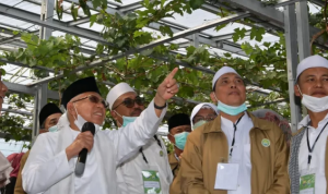 1a Momen Wapres Pandu Keluarga Besar Pengurus Yayasan dan Ponpes Al-Jauharen Keliling Pesantren An-Nawawi Tanara