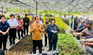 Tinjau Persemaian Mentawir, Presiden Jokowi: Komitmen Pemerintah Terhadap Lingkungan Dimulai dari Sini