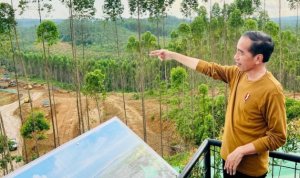 1a Tinjau Pembangunan Istana Presiden di IKN, Presiden Jokowi: 2024 Upacara di Sini