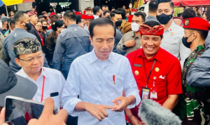Terkait Usulan Penghapusan Jabatan Gubernur, Presiden: Semua Perlu Kajian