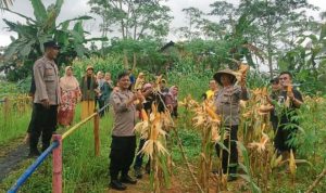 Kegiatan Jumat Curhat Bersama Kelompok Tani, Kapolsek Gunungtanjung Tampung Aspirasi Warga