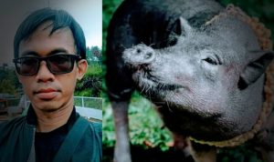 Zaman Modern, Masih Adakah Pesugihan Babi Ngepet dan Celeng Kresek ?