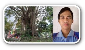 Benarkah Pohon Tua Sebagai Tempat Yang Bagus untuk Melakukan Meditasi dan Berdoa ?