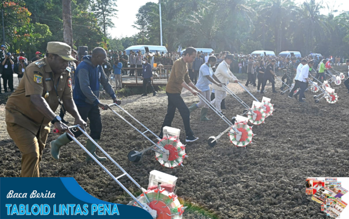 Presiden Jokowi Menanam Benih Jagung Bersama Para Petani di Lumbung Pangan di Kabupaten Keerom