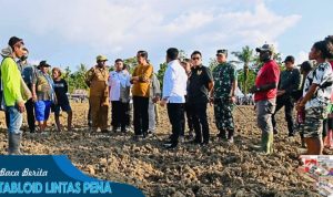 Presiden Jokowi Tinjau Food Estate di Kab.Keerom Papua