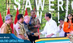 Presiden Jokowi Harap Kerja Sama Internasional di Luwu Timur Tingkatkan Ekonomi Sulsel