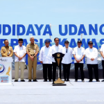 Presiden Jokowi Resmikan Tambak Budidaya Udang Berbasis Kawasan di Kebumen
