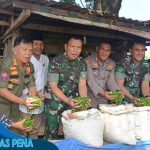 Kunker ke Meranti, Danrem 031/WB Panen Cabai Rawit dan Mulai Pembangunan Aula Koramil 02/TT.