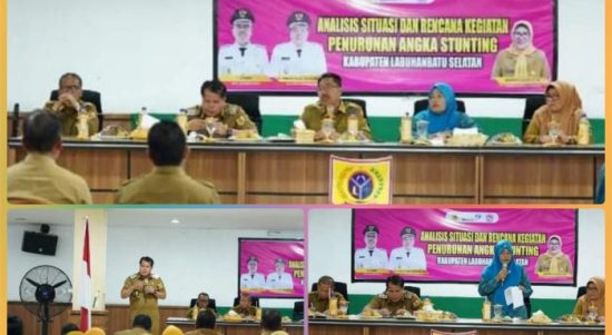 Pemkab Labusel Laksanakan Kegiatan Analisis Situasi dan Rencana Kegiatan Penurunan Angka Stunting