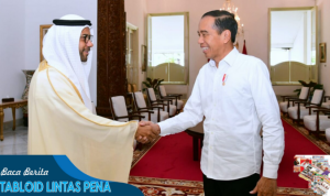 Presiden Jokowi Terima Kunjungan Dubes PEA untuk Indonesia