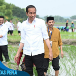 Presiden Jokowi Apresiasi Penggunaan Pupuk Organik