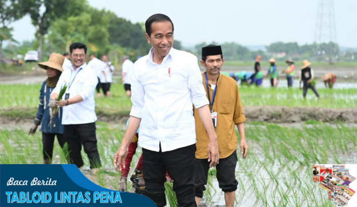 Presiden Jokowi Apresiasi Penggunaan Pupuk Organik