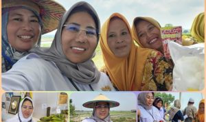 Direktur Pembiayaan Pertanian Kementan, Indah Megahwati : Antisipasi Krisis Pangan Akibat El Nino, Pemerintah Perkuat Ketahanan Pangan Lewat Kredit Usaha Rakyat (KUR) untuk Petani