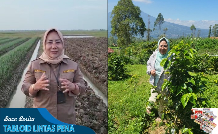 Gebrakan Direktorat Pembiayaan Pertanian, Digitalisasi untuk Meningkatkan Produktivitas dan Taraf Hidup Petani