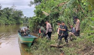 Aparat Gabungan Koramil Mapurujaya dan Polsek Mimika Timur Gerebek Tempat Produksi Sopi