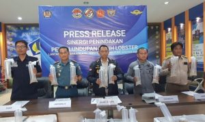 Bakamla RI Gagalkan Penyelundupan Benih Lobster Senilai 19 M ke Malaysia