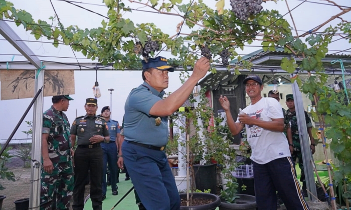 Yakinkan Kelancaran Gerakan Nasional Ketahanan Pangan, Panglima TNI Cek Langsung ke Lapangan