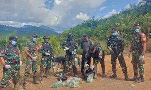 Satgas Pamtas Yonarmed 10/Bradjamusti Gagalkan Upaya Penyelundupan 20 Kg Sabu Oleh WNA Malaysia