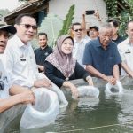 Sekda Ciamis Sebut SFV Kampung Nila Kawali Merupakan Pilot Project Visi Misi Kabupaten Ciamis