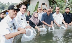 Sekda Ciamis Sebut SFV Kampung Nila Kawali Merupakan Pilot Project Visi Misi Kabupaten Ciamis